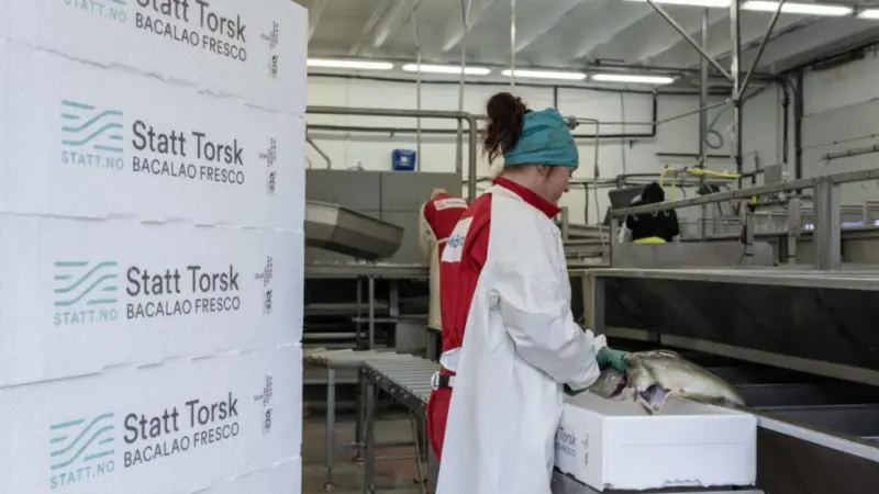 Statt Torsk