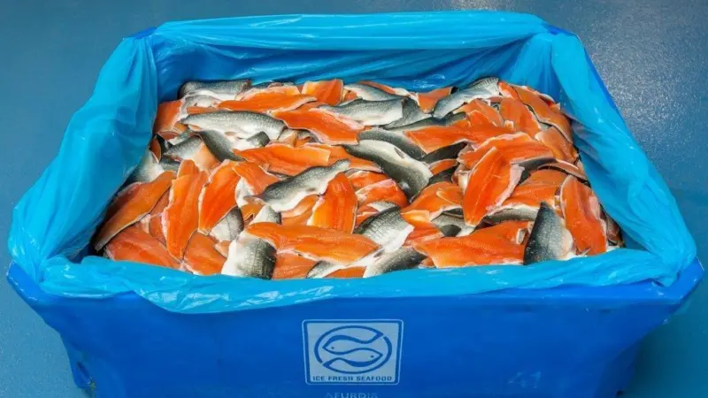 Ice Fresh Seafood