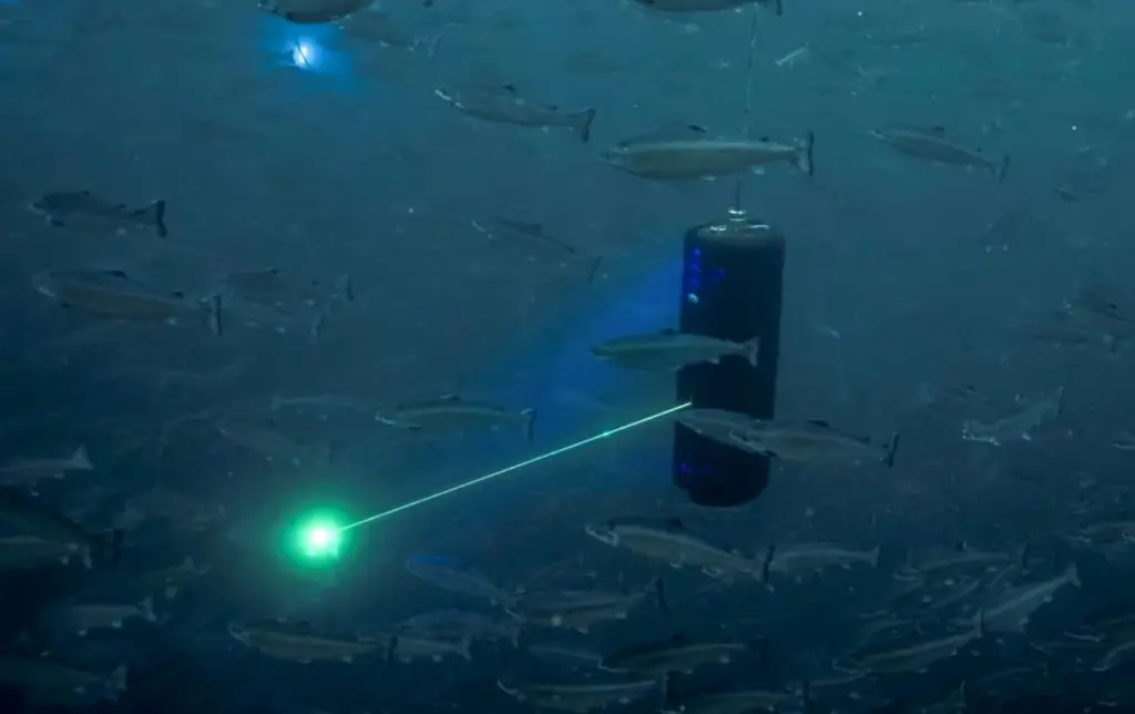 Cermaq lasers