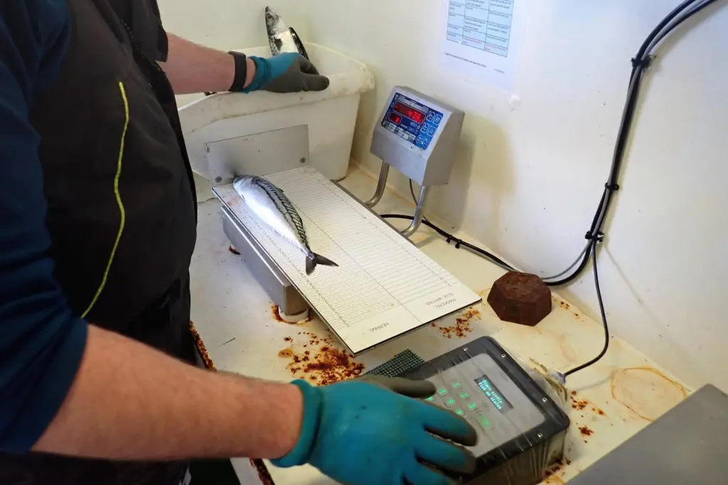 Self sampling