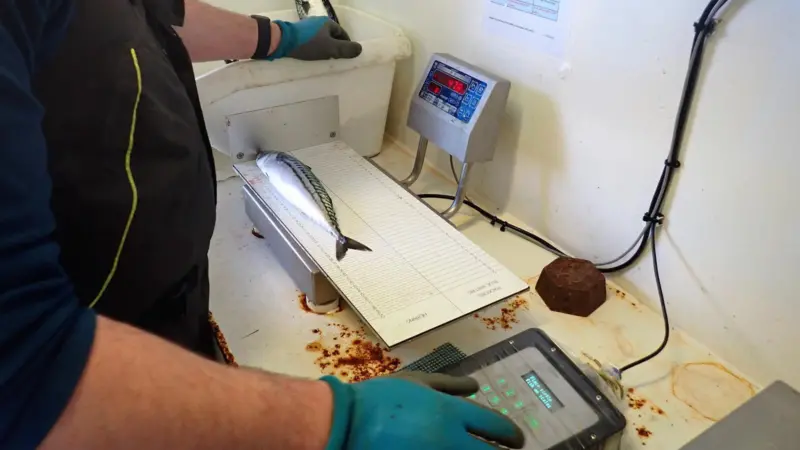 Self sampling