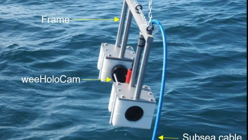 Deployment of weeHoloCam in North Sea - June 2021
