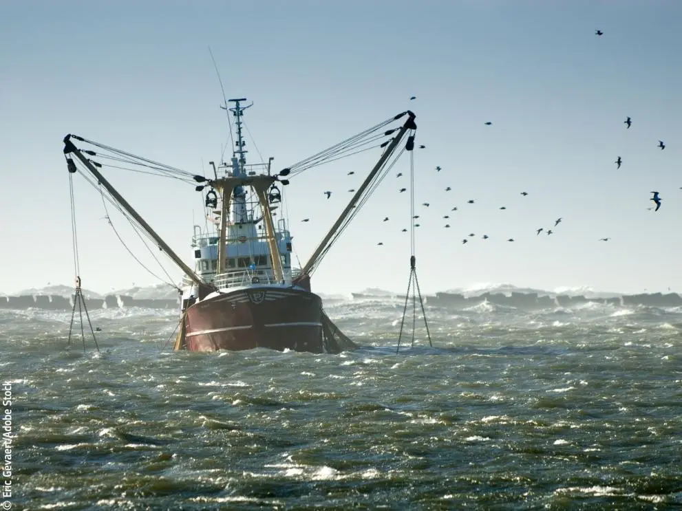 EU fishing vessel