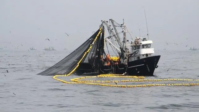 Peru anchovy fishing