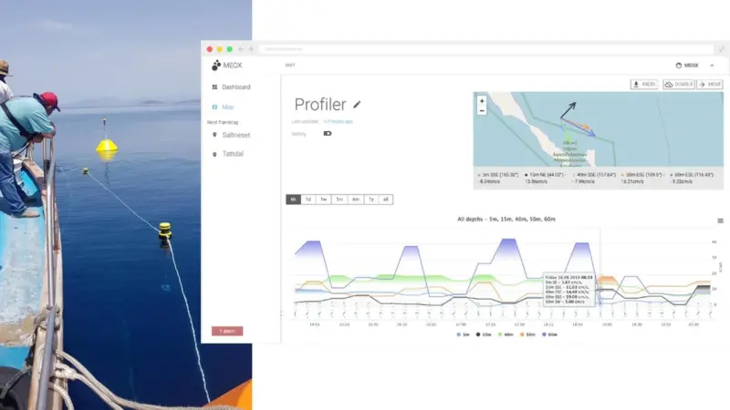 Guardian buoy and dashboard