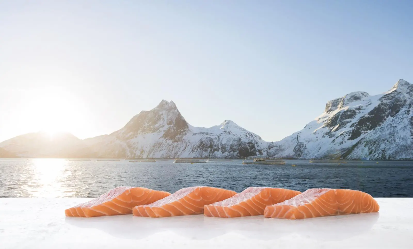 Norwegian salmon