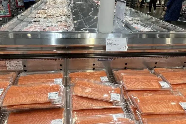 Norwegian salmon