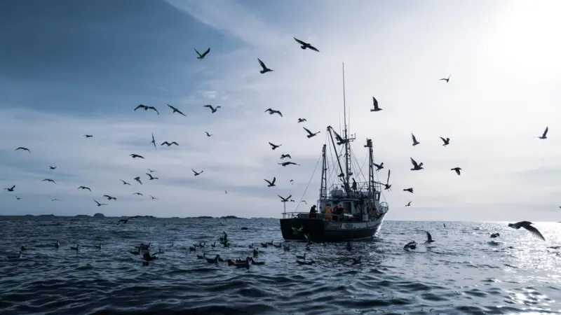 Canadian east-coast-fishing-boat