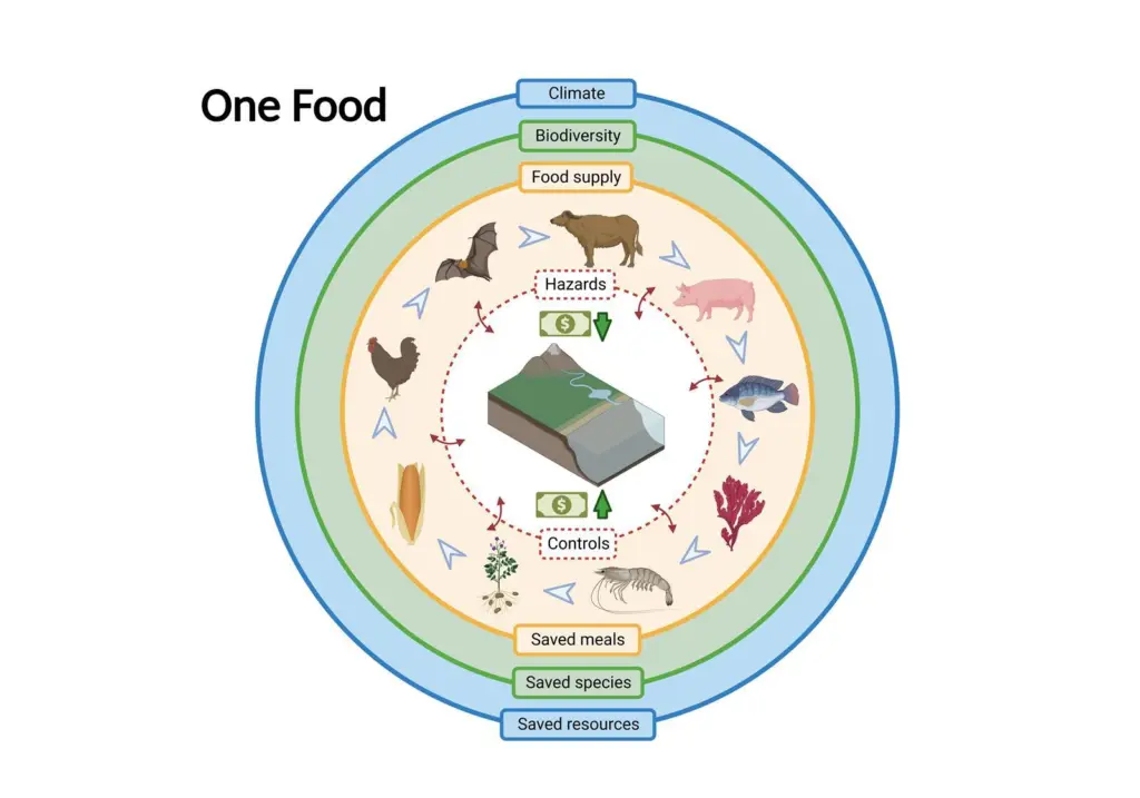 Cefas One Food