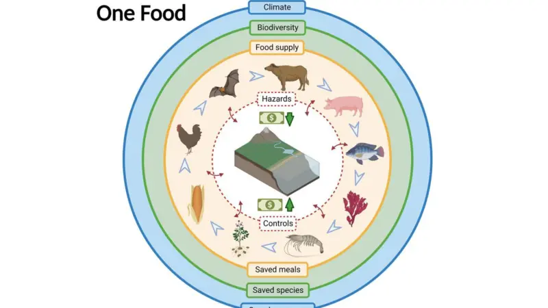 Cefas One Food