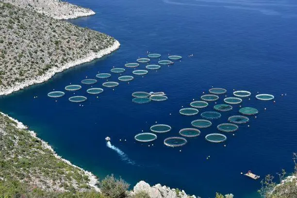 ECA Aquaculture