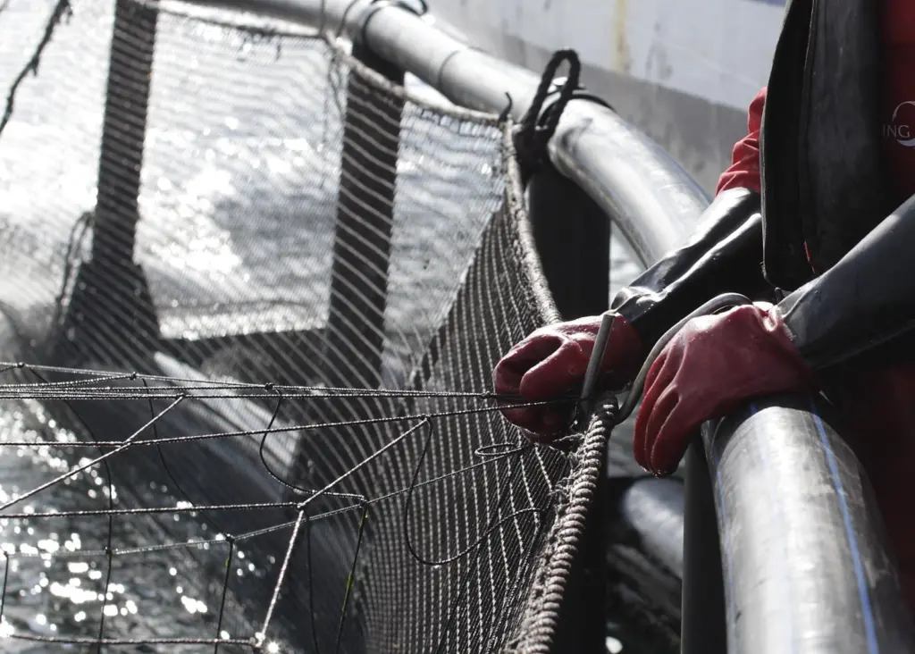 Aquaculture
