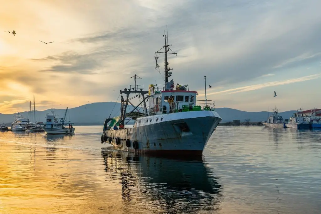 Fishing vessel
