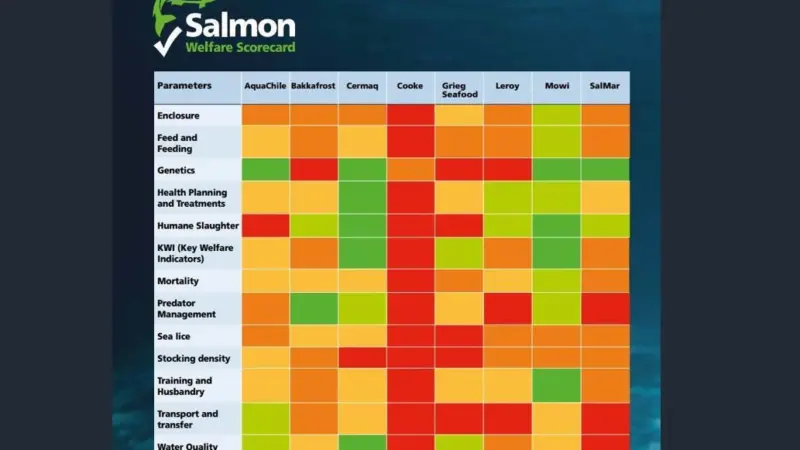 Salmon Welfare Scorecard