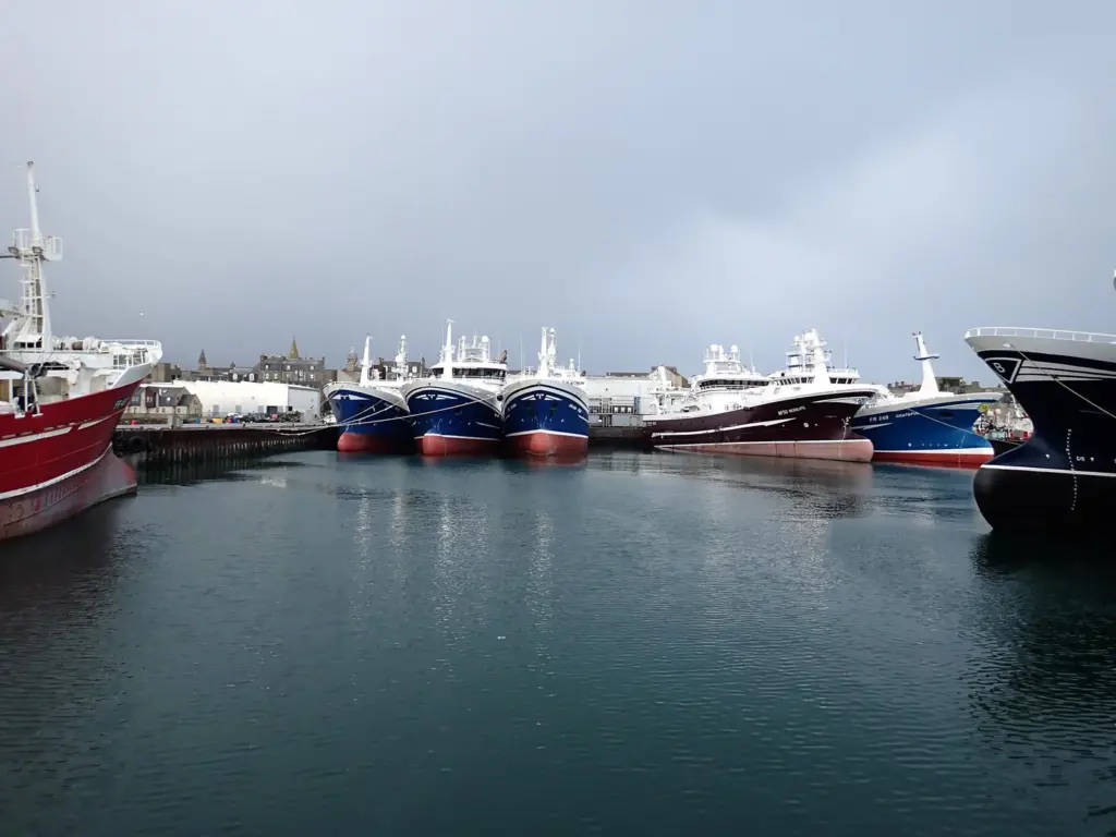 Mackerel fishing boats