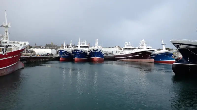 Mackerel fishing boats