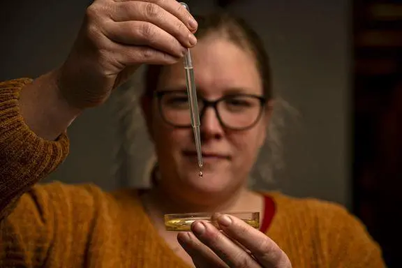 Nofima microalgae