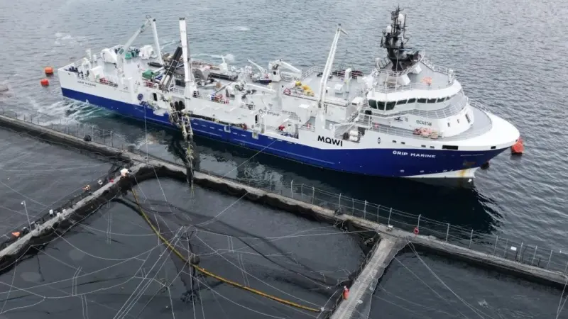 Grip Marine