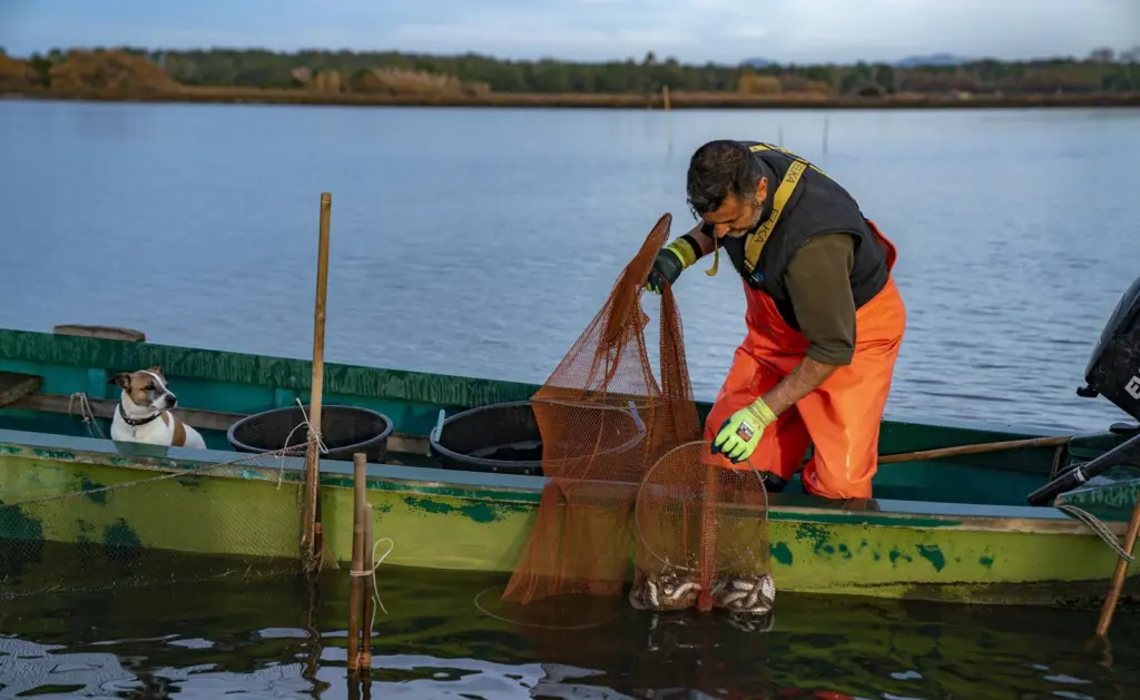 Eel Fishing