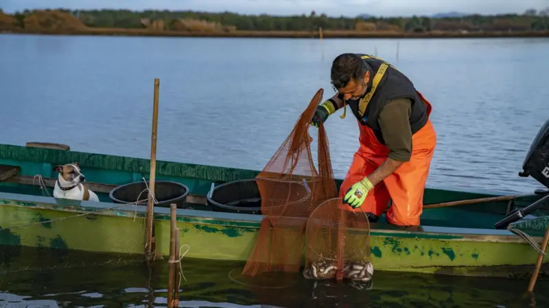 Eel Fishing