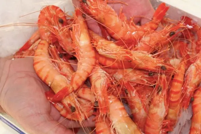 Seafood traceability