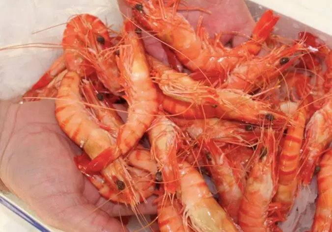 Seafood traceability