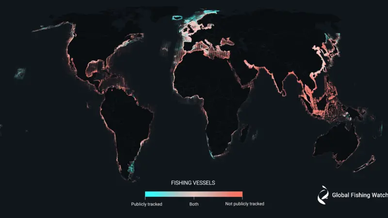 GFW-fishing-vessel-activity-global-map