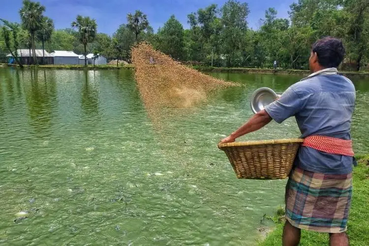 Bangladesh aquaculture