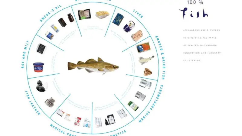 100% Fish