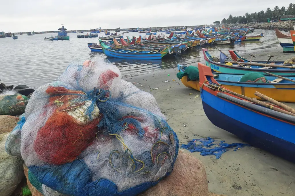India’s marine fisheries