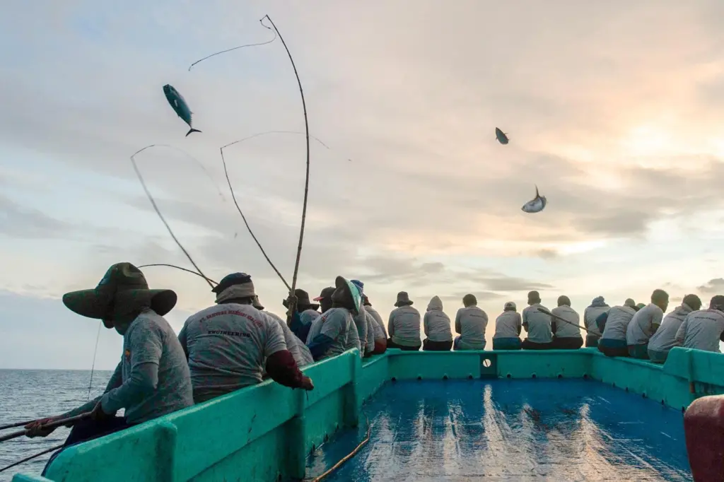 Pole and line fishing