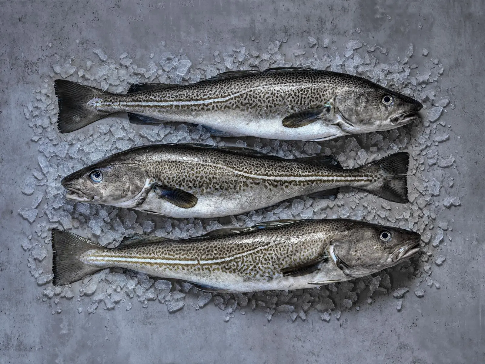 Whole cod