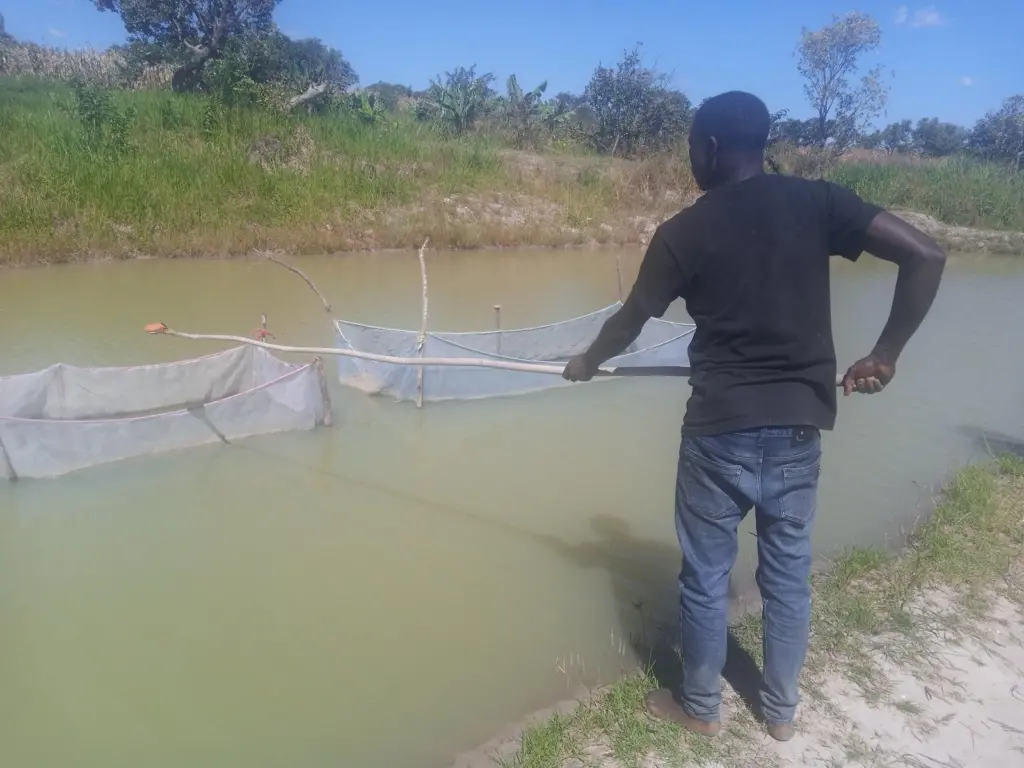 WorldFish, Zambia