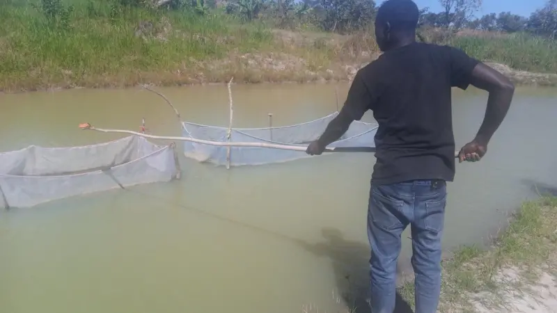 WorldFish, Zambia