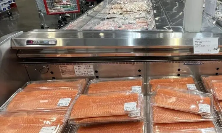Norwegian salmon
