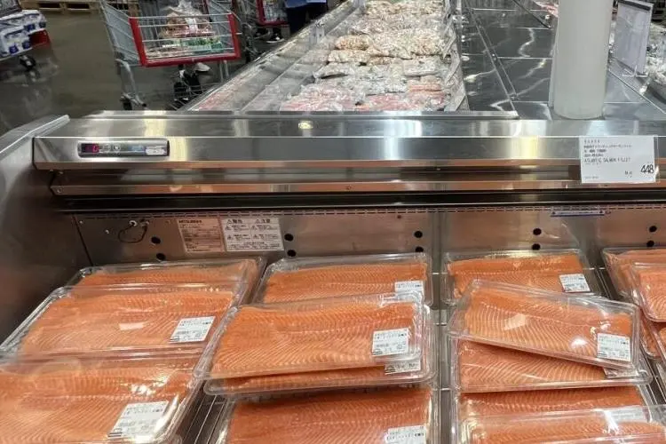 Norwegian salmon