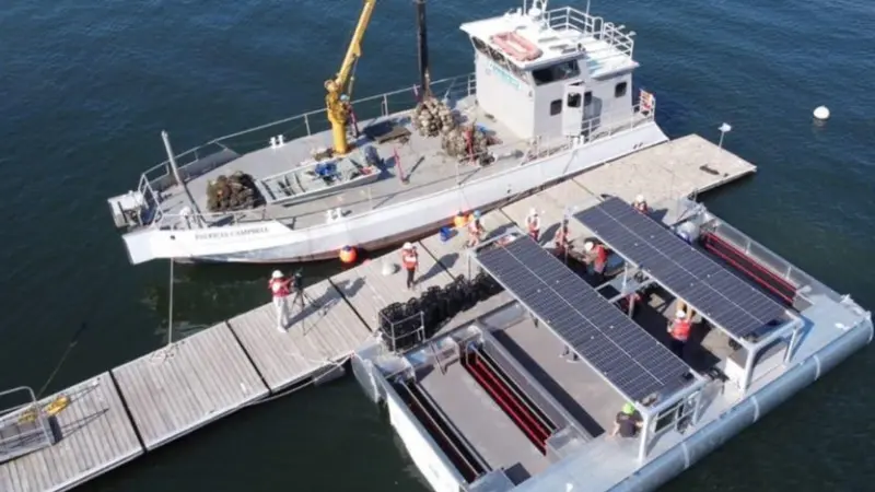 Solar oysters SOPS gardening system