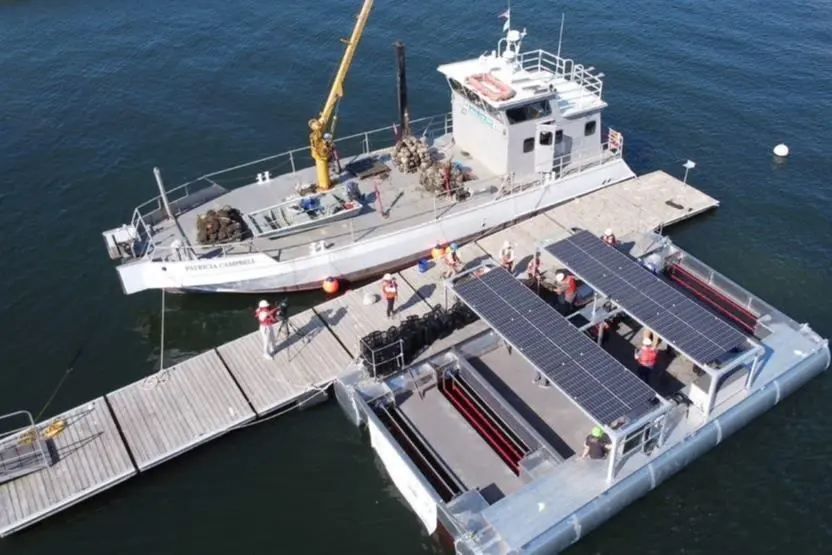 Solar oysters SOPS gardening system