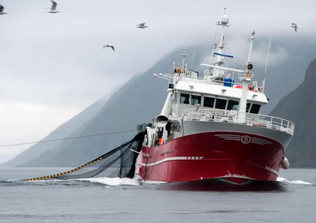 Fishing vessel in the Northeast Atlantic