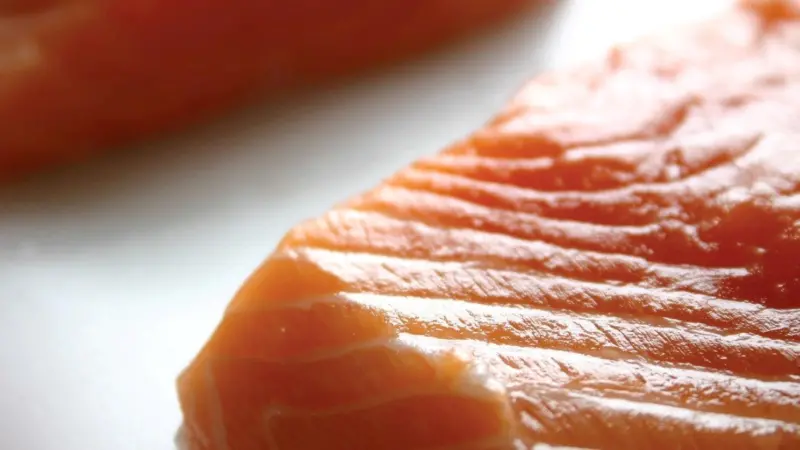 Salmon