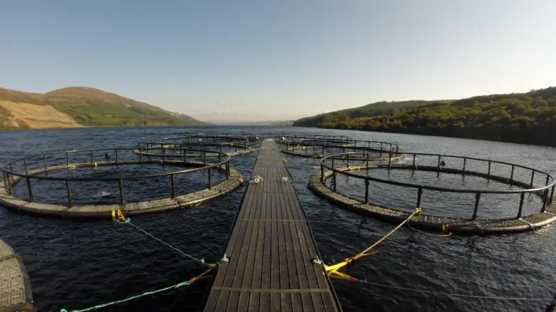 Scottish Sea Farms’ Loch Frisa site