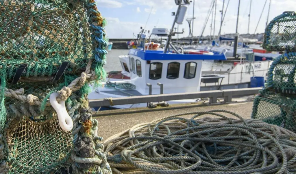 EU lobster fishing