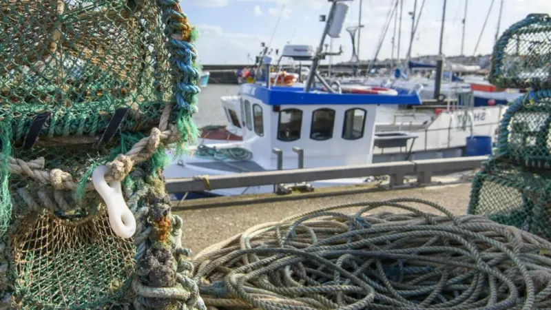 EU lobster fishing