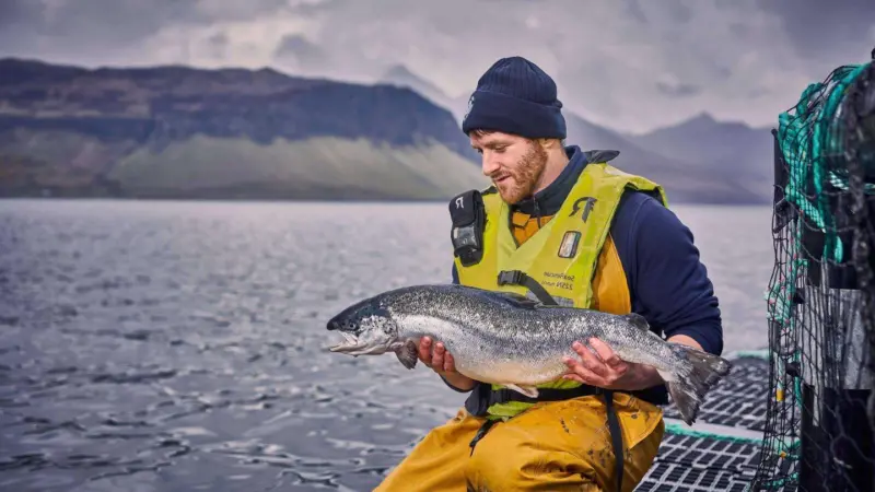 Bakkafrost salmon