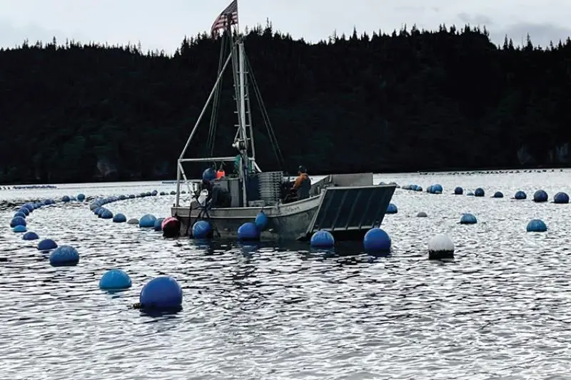 Alaska Shellfish Farms