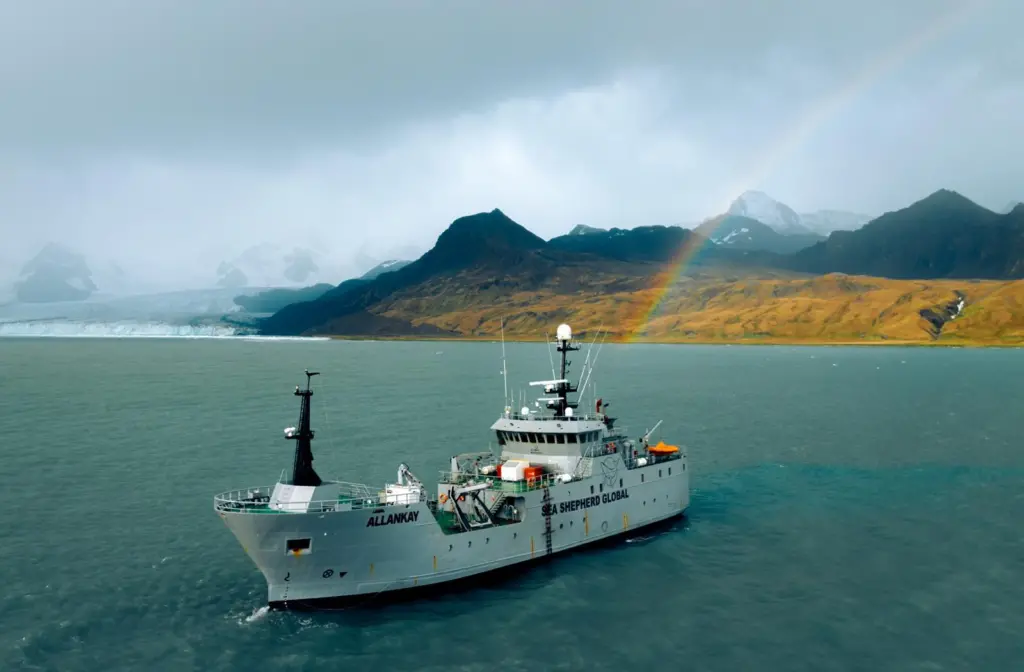 Sea Shepherd Allankay