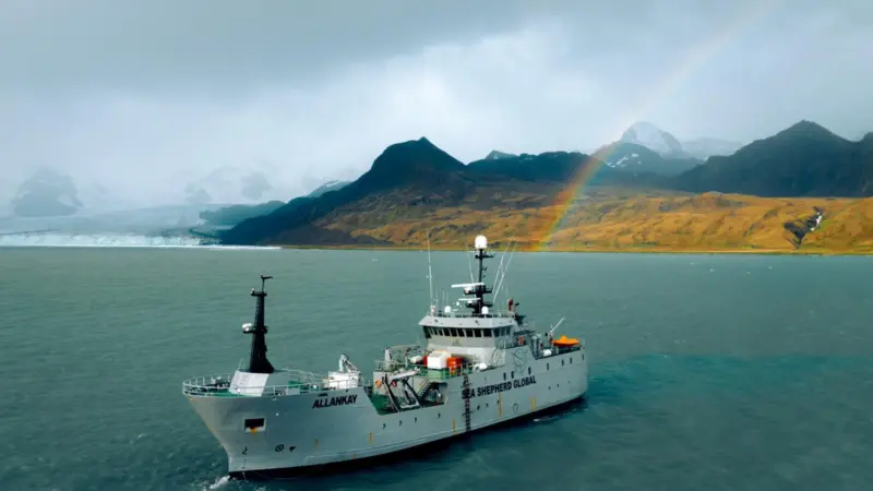 Sea Shepherd Allankay