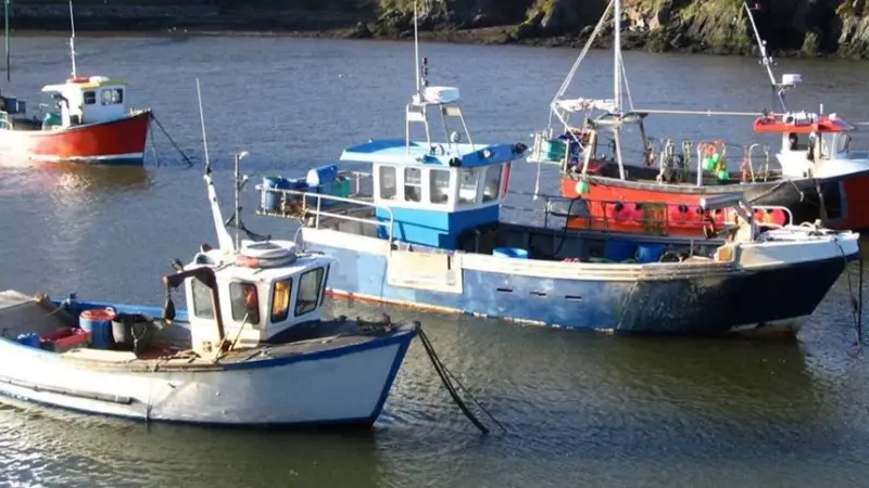 Fishing boats