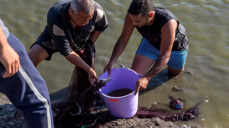 An Egyptian fish farmer with Wasseem Emam from Ethical Seafood Research