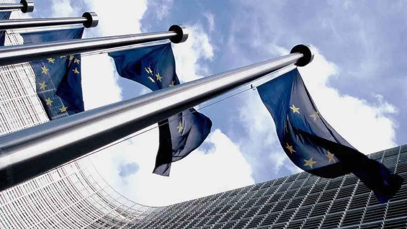EU flags